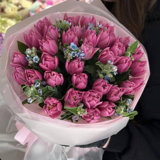 Тюльпаны с оксипеталумом