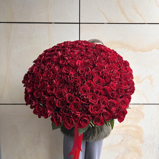 Promo 151 red roses