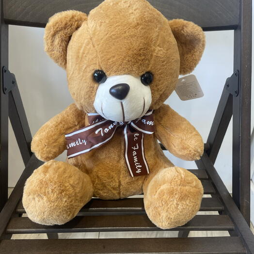 Oso de peluche  30 cm