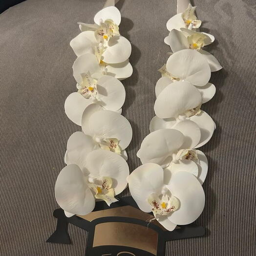 عقد تخرج فاخر بالأوركيد الأبيض
Luxury White Orchid Graduation Lei