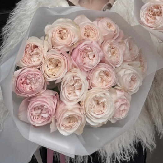 Peony Roses L