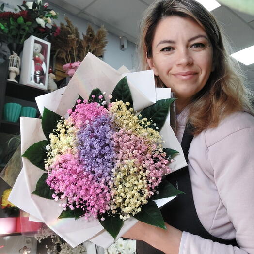 גיפסנית ציבעני