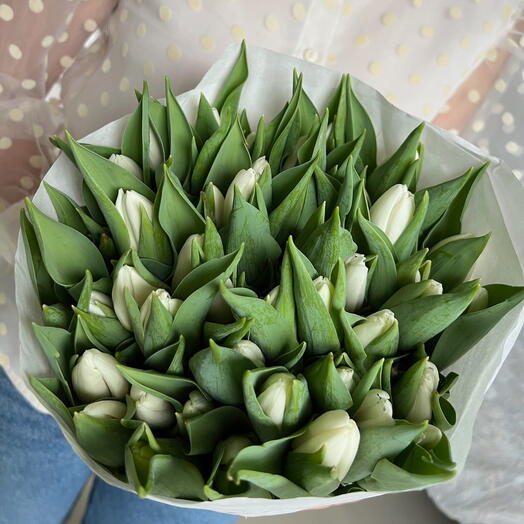 50 tulips