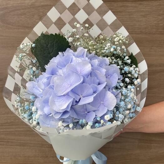 Hydrangea bouquet