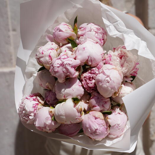 Peonies Sarah Bernhardt