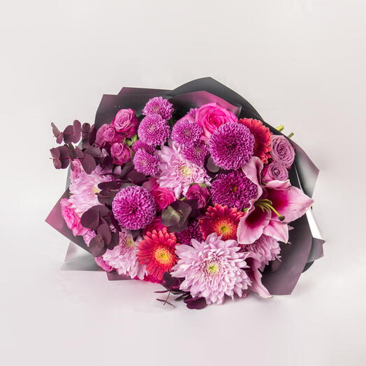 Dahlia   Chrysanthemum Delight