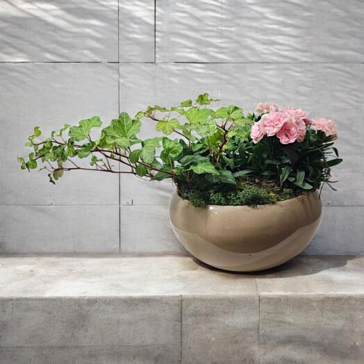 "The Bowl of Happiness"