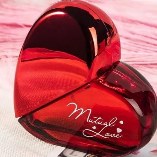 Meet You perfumes