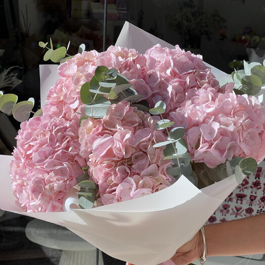 Mono de XL hortensias