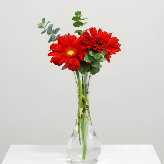 Arreglo Duo de Amor - Gerberas