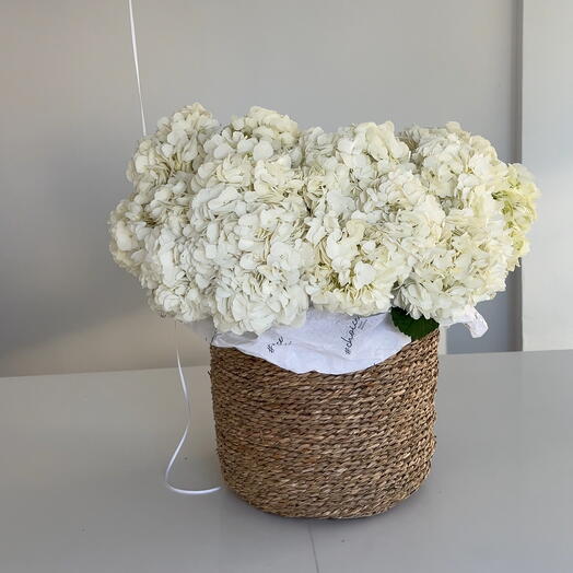 White hydrangeas basket