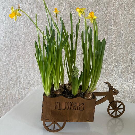 Daffodils and hyacinths in a cart