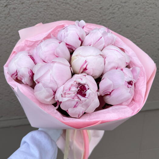 Peonia Sara Bernard