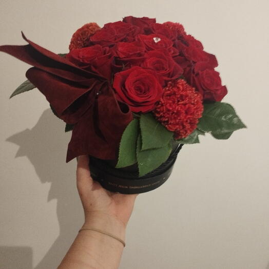 Box Rosas Laço Veludo