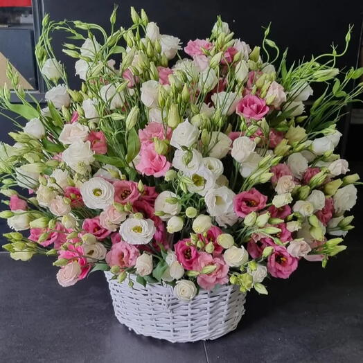 Cesta Lisianthus BRANCOS/WHITE