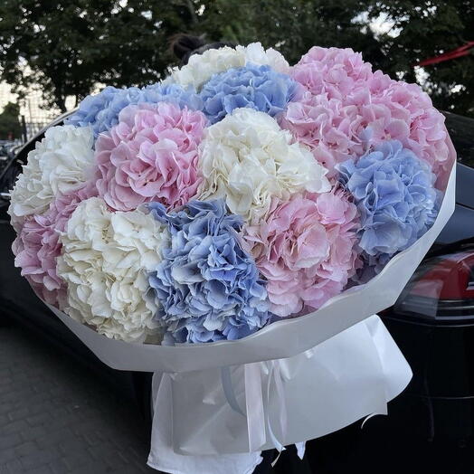 Букет с 15 гортензий в белом оформлении