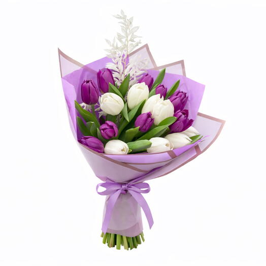 Purple/white tulips