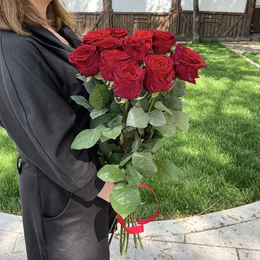 11 trandafiri olandezi roșii 100 cm