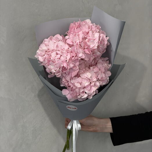 Hydrangea pink 3