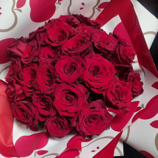 25 rose rosse explorer