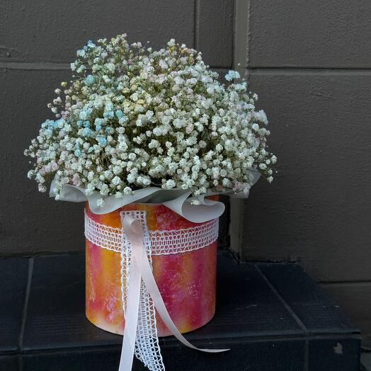 Colourful Gipsophila in the box
