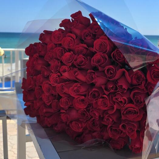 100 красных роз