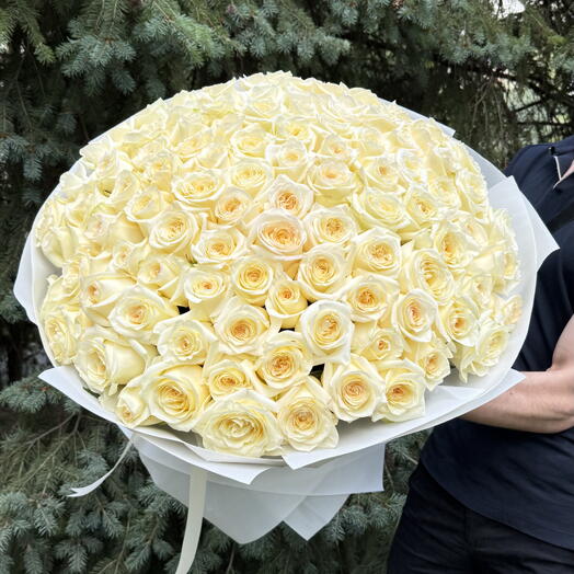 101 Ecuador Premium Roses "Candlelight"