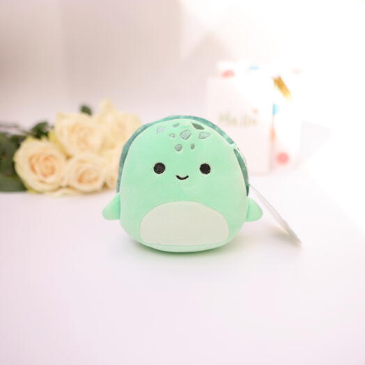 PLUSH TOY TURTLE