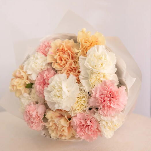 Bouquet of pastel-colored carnations (19 pcs)