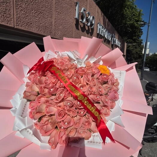 Mega Corazon Platinum