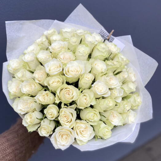 Netherlands  51 pice🐾