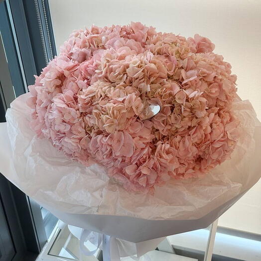 Pink Hydrangeas Cloud