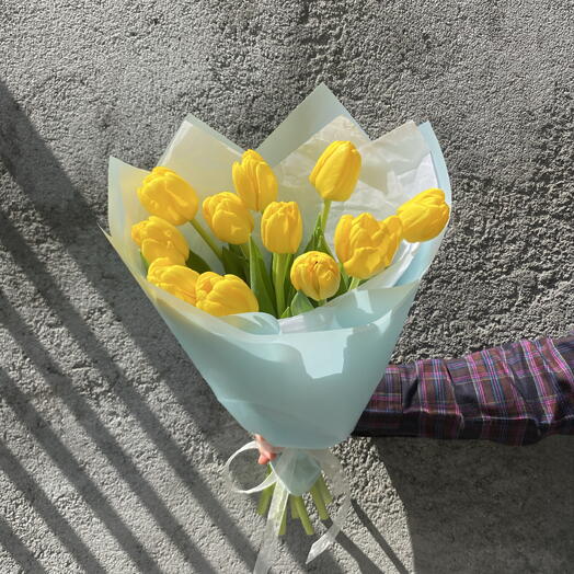 Tulips yellow 11