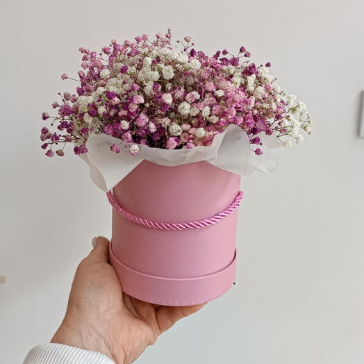 Flowerbox mit buntem Schleierkraut