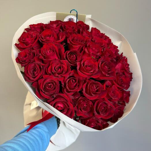 Promo - 37 Red Rose Holland