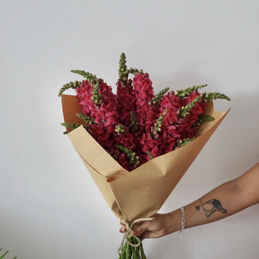 Monobouquet (Matthiola)