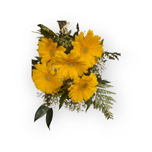 Sunny day. Small bouquet, Gerbera