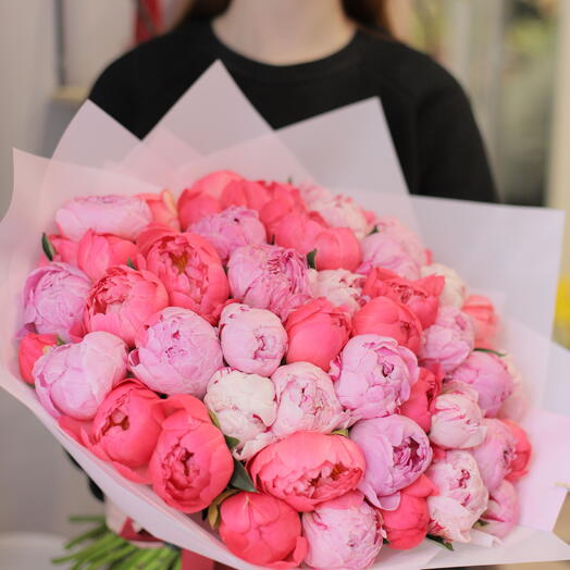 Mix 51 peonii rożowo-koralowych / Mix 51 of pink and coral peonies