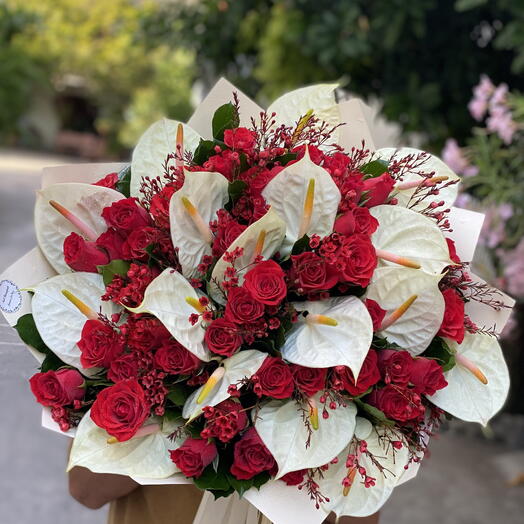 Red and white velvet