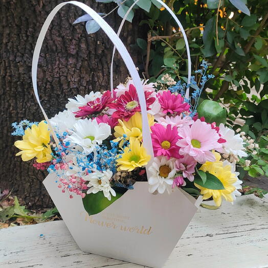 Colorful Chrisantema in a white box