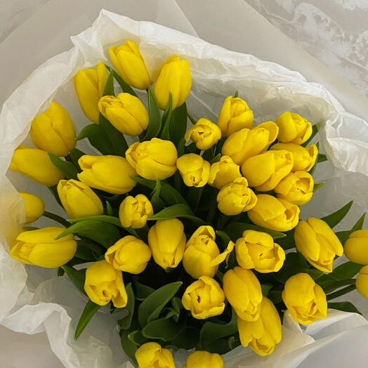 35 Yellow Tulips