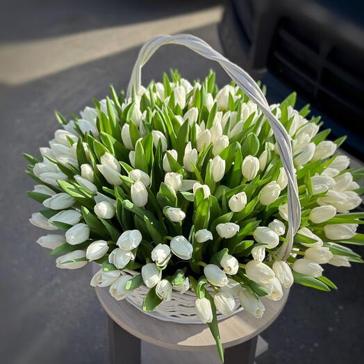 Корзина белых тюльпанов