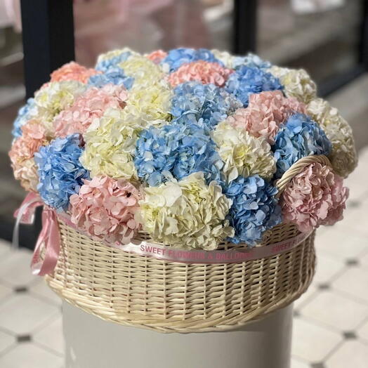 31 Hydrogena In Basket