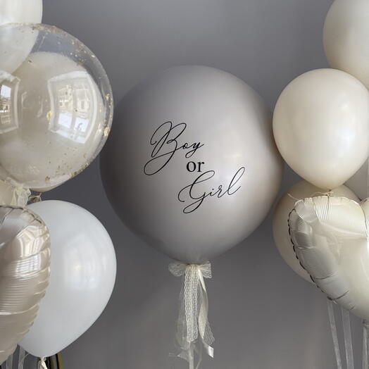 Gender Reveal Party in Beige Style