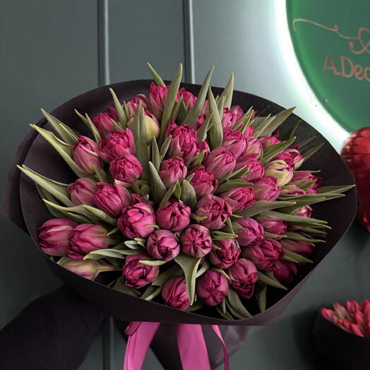 Tulpen Dunkel Rosa- 50 Stuck