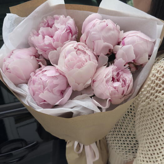 7 pink peonies