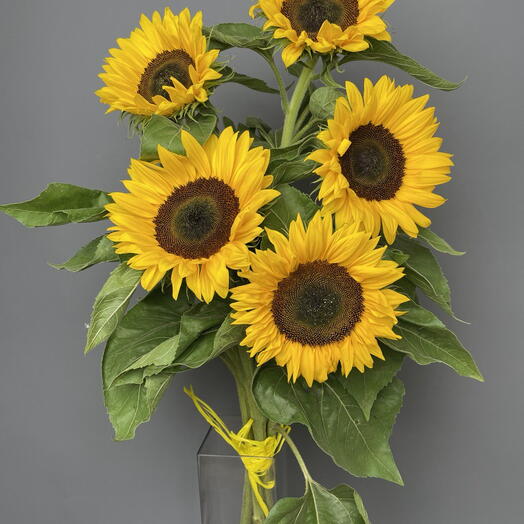 Bouquet Sunflowers