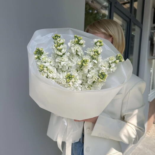 Маттиола в белом оформлении