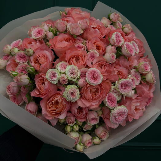 Розы Pioneer и спрей-розы