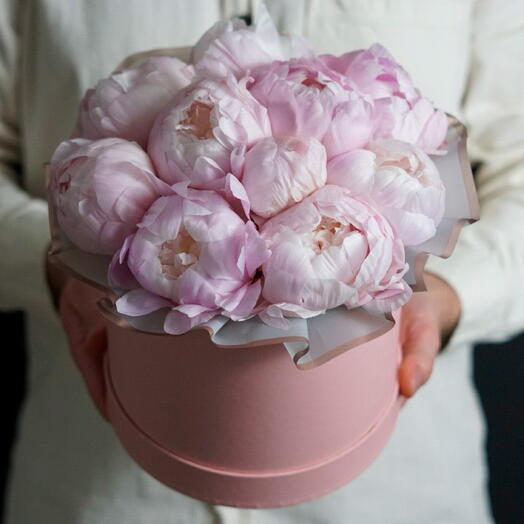 Pink Peonies